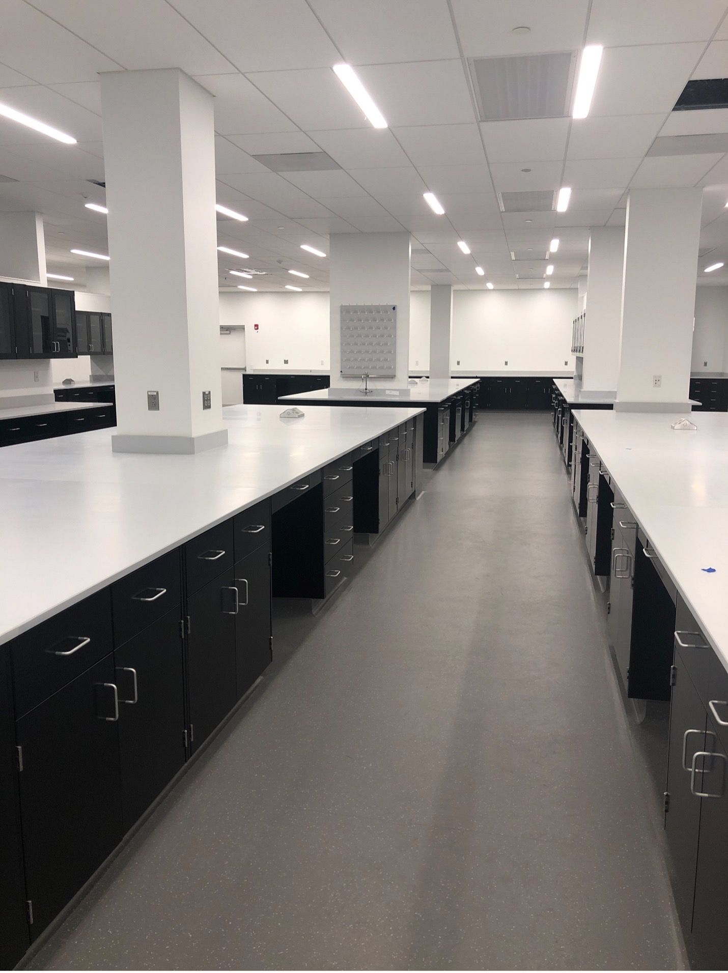 Renaissance – Spray Lab