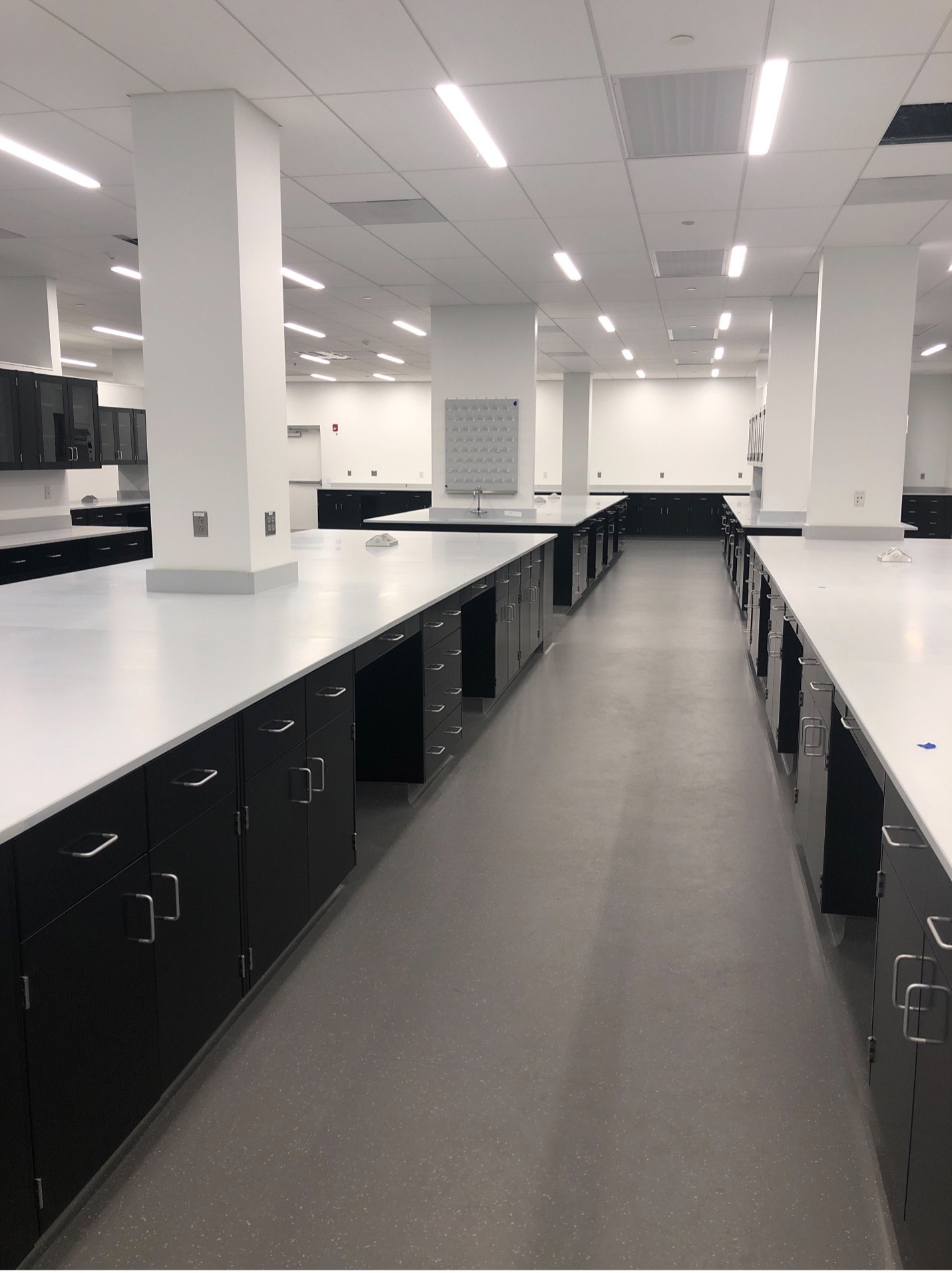 Renaissance – Spray Lab